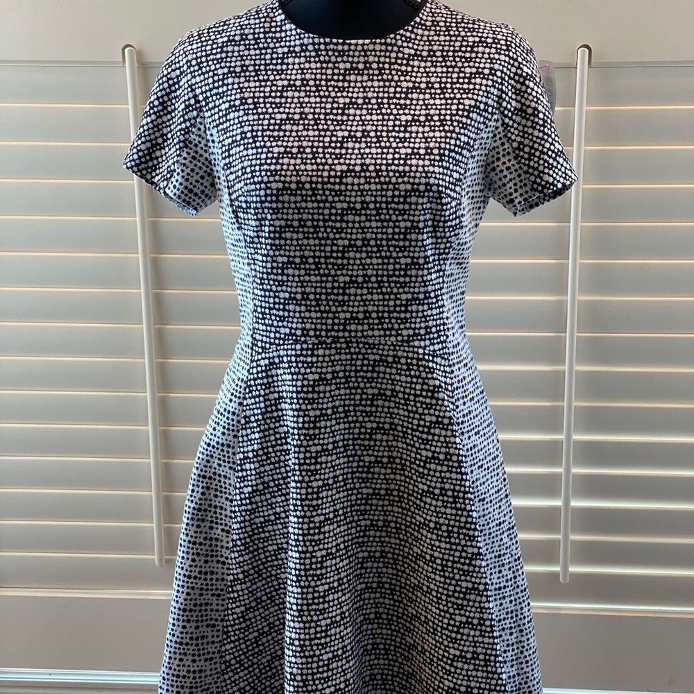 Banana Republic Dress Size 6